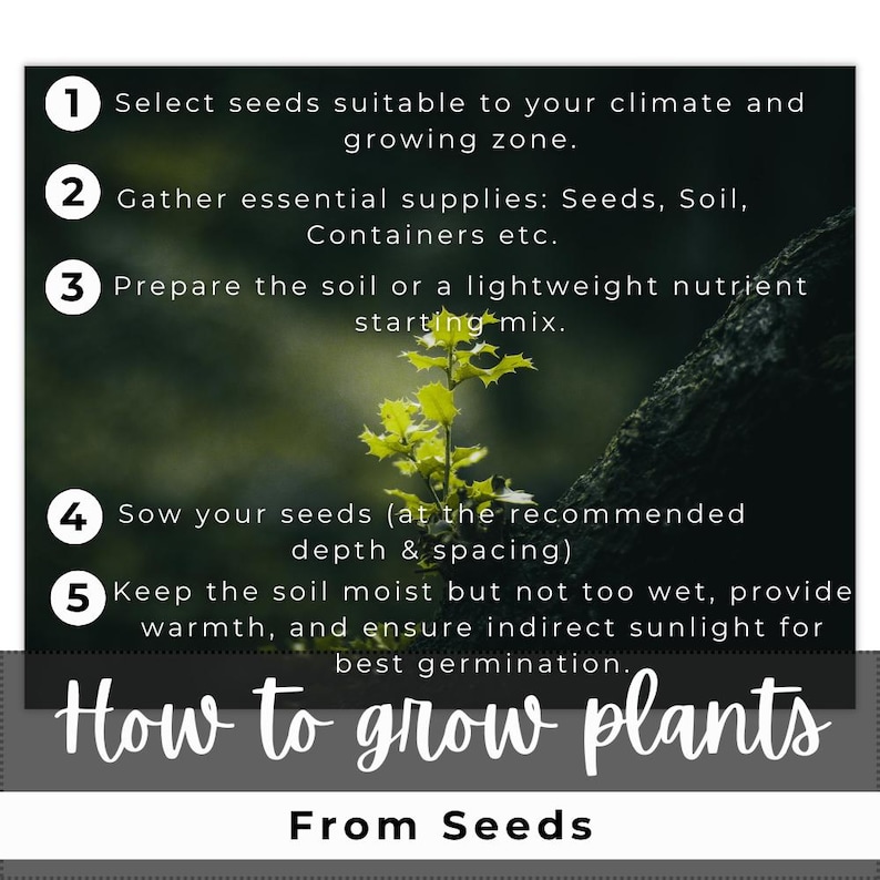 May include: A guide titled "How to grow plants from seeds" with numbered steps. The steps include selecting seeds, gathering supplies, preparing soil, sowing seeds, and maintaining moisture and sunlight. A small plant is in the center.
