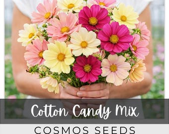 125 Seeds Cosmos Outdoor Garden Planting Heirloom, Great for arrangements