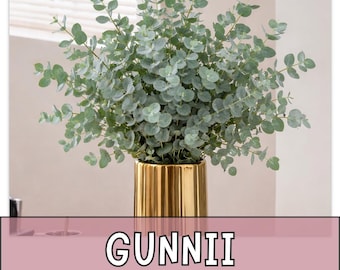 250 Seeds Eucalyptus, Outdoor Garden Planting Heirloom, Great for arrangements