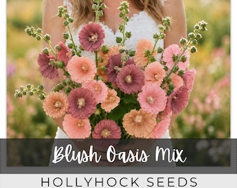 45 Seeds Hollyhock, Blush Oasis Mix, Outdoor Garden Planting Heirloom, Great for arrangements