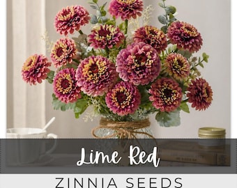 125 Seeds Zinnia, Lime Red, Outdoor Garden Planting Heirloom, Great for arrangements