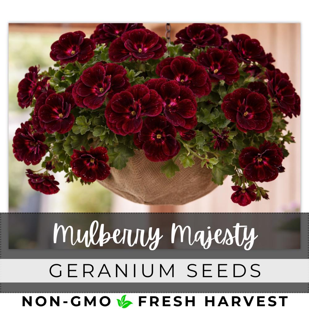 affordable garden seeds 10 Essential Garden Seeds  Free with Shipping