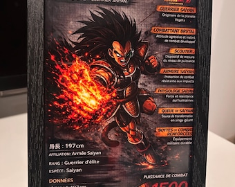 Lotto di 20 cornici di Dragon Ball Z