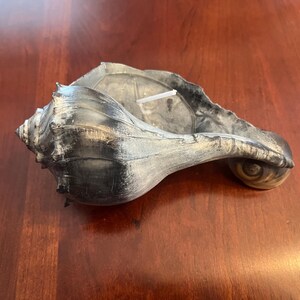 Vela con forma de concha de caracol negro nudoso, cera de soja y coco inspirada en el océano, decoración costera para el hogar.