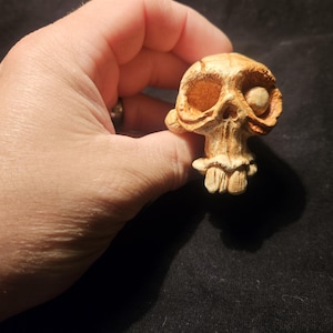 May include: A small, carved skull figurine with a light brown color. The skull has large eye sockets, a prominent nose, and a detailed jawline. The figurine is held in a hand against a dark background.