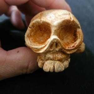 May include: A small, detailed skull figurine with a weathered, aged appearance. The skull is primarily beige with brown accents in the eye sockets and nasal cavity. The jaw and teeth are also visible.