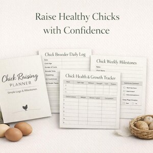 4-Page Chick Raising Planner | Simple & Essential Brooder Tracker