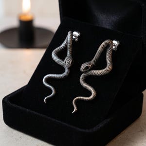 May include: A pair of silver-toned snake earrings featuring a detailed scale texture and small black stones set as eyes. The earrings are designed as stud posts and are displayed resting on a black velvet jewelry box insert.