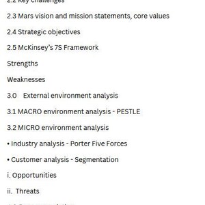 May include: A white document with black text outlining a business plan. The document includes sections on internal and external environment analysis, strategic objectives, and recommendations. The text is clearly organized with numbered headings.