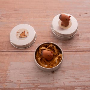 Könnte beinhalten: Drei kleine, silberfarbene Dosen mit Dekorationen zum Thema Capybara. Ein Deckel hat einen Aufkleber mit einer Capybara-Illustration und dem Text "Hello Man!". Eine weitere Dose enthält eine Capybara-Figur, und die dritte Dose hat eine Capybara-Figur, die in braunem Papier liegt.