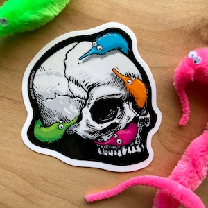May include: A black and white illustration of a skull with four fuzzy worm-like toys on it. The worms are green, blue, orange, and pink. The skull is on a white background with a black border. The text "©2020 CTKH Studio" is in the lower left corner of the sticker.