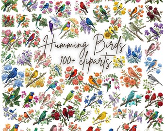 Colorful Hummingbird PNG Bundle, Bird Clipart Pack, Wildlife Art Collection for Crafts Set