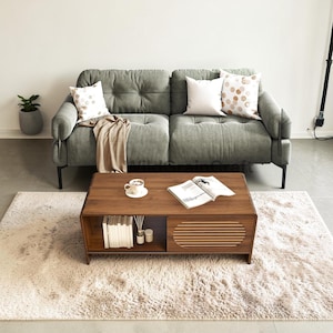 May include: A living room scene featuring a gray sofa with decorative pillows and a wooden coffee table. The coffee table has a lower shelf with books and a sliding door. A fluffy rug and a potted plant complete the cozy setting.