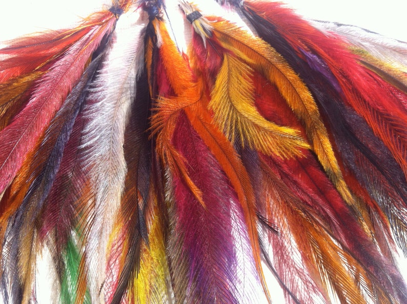 FEATHERS SECONDS Extensions de cheveux en plumes d'émeu, artisanat de plumes, pinces à cheveux en plumes, attrape-rêves, chapellerie, plumes de chapeau, boucles d'oreilles en plumes image 4
