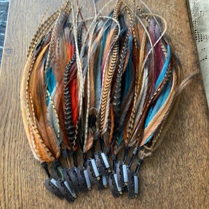 May include: A collection of hair extensions featuring long, slender feathers in a variety of colours including brown, tan, bright blue, red, and grey. Each feather is attached to a small, dark brown metal snap clip with a white silicone grip.