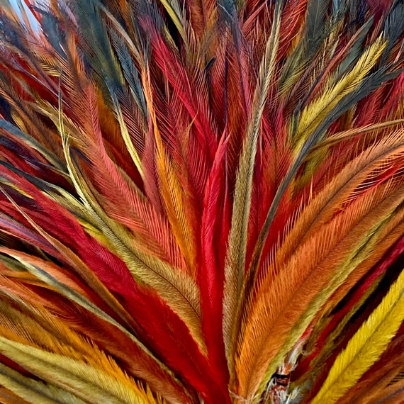 Emu feathers used in fly tying