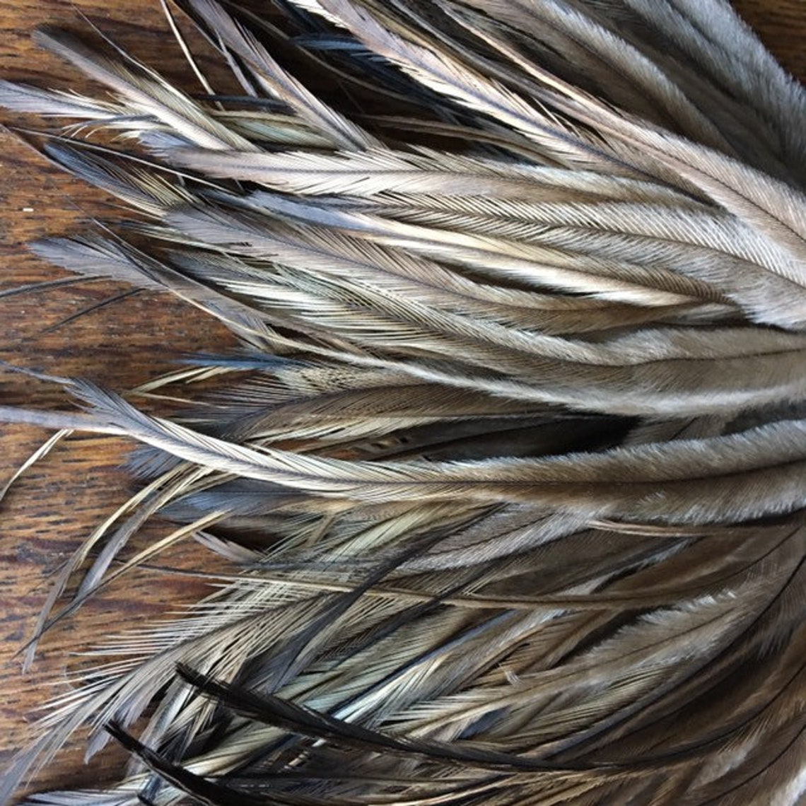 50 Emu Feathers 67 Inches Real Feathers Extensions Natural Etsy