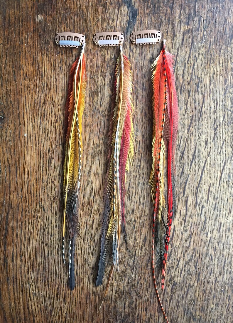 Long Feather Hair Extension Clips Hair Feathers Feather Hair Etsy