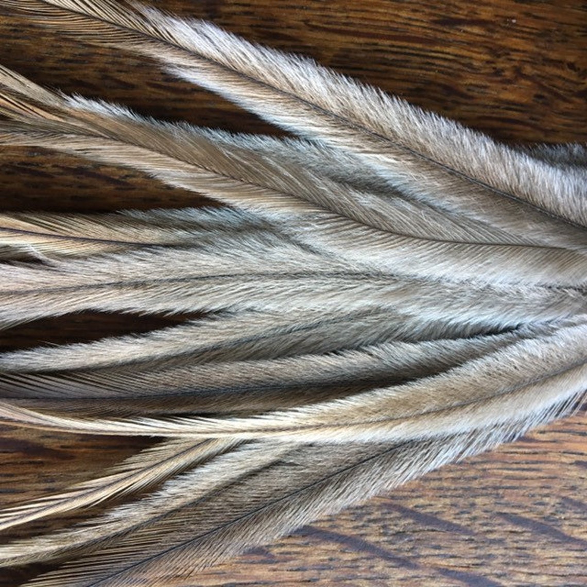 50 Emu Feathers 67 Inches Real Feathers Extensions Natural Etsy