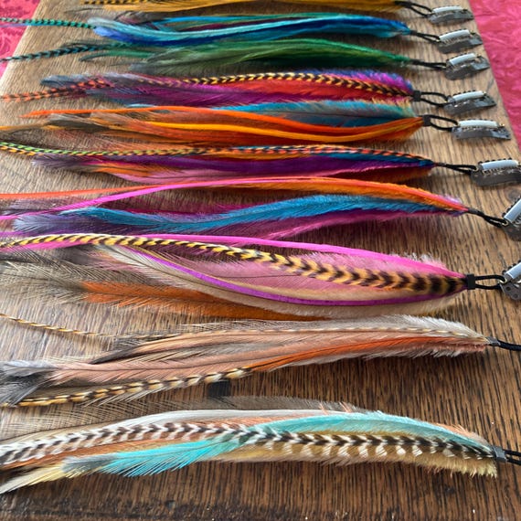 Handmade Feather Hair Clip Extension: Emu & Rooster Feathers  display picture 2