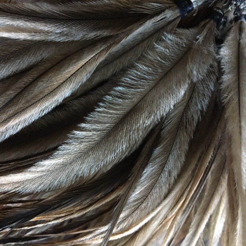 50 Emu Feathers 67 Inches Real Feathers Extensions Natural Etsy