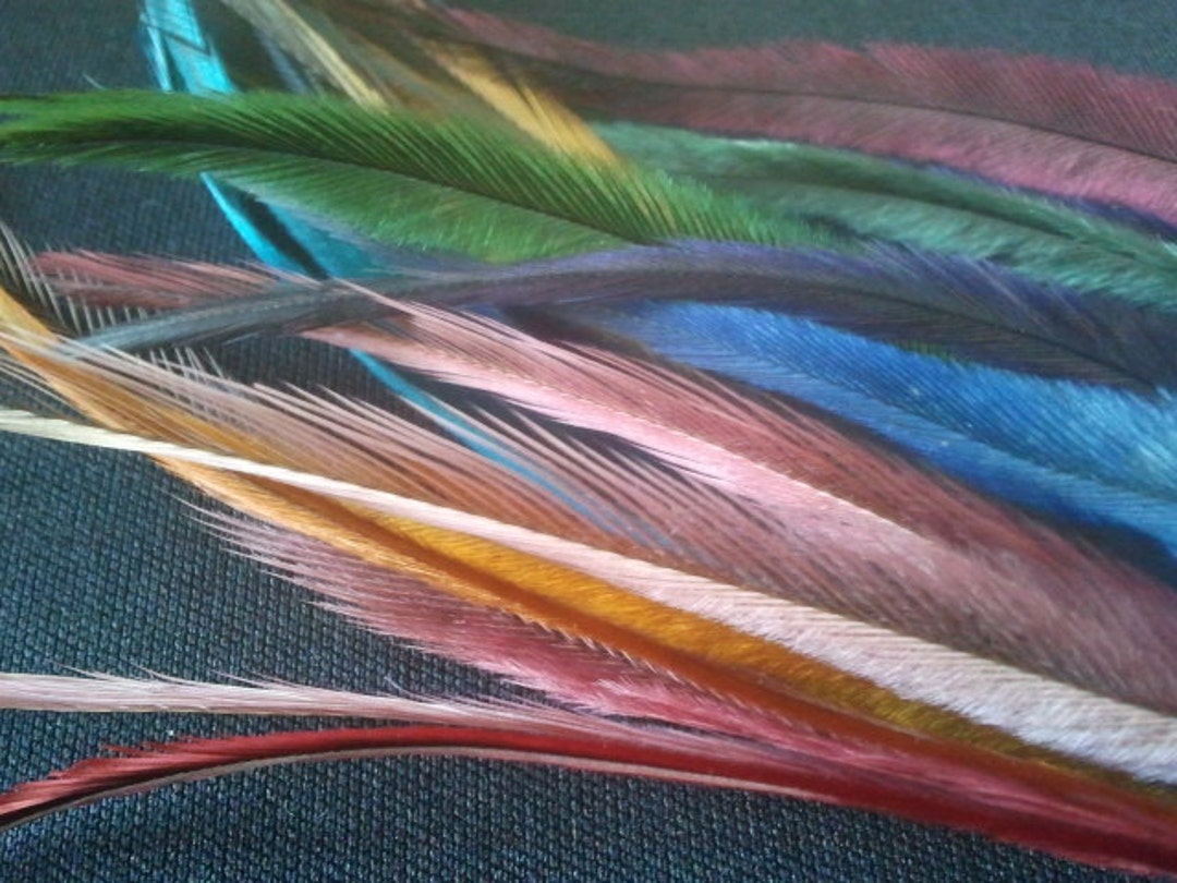 100 Emu Feathers Bulk Lot Wholesale Craft Supplies Millinery Etsy