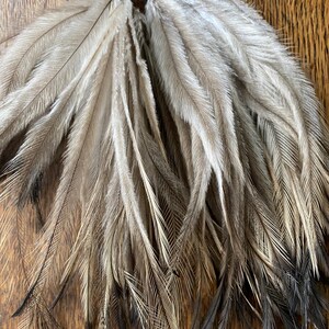 Natural Emu Feathers (100pcs): Undyed Craft Supplies, Hair Extensions, Fly Tying Materials image 7