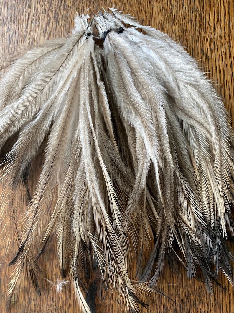 Natural Emu Feathers (100pcs): Undyed Craft Supplies, Hair Extensions, Fly Tying Materials image 7
