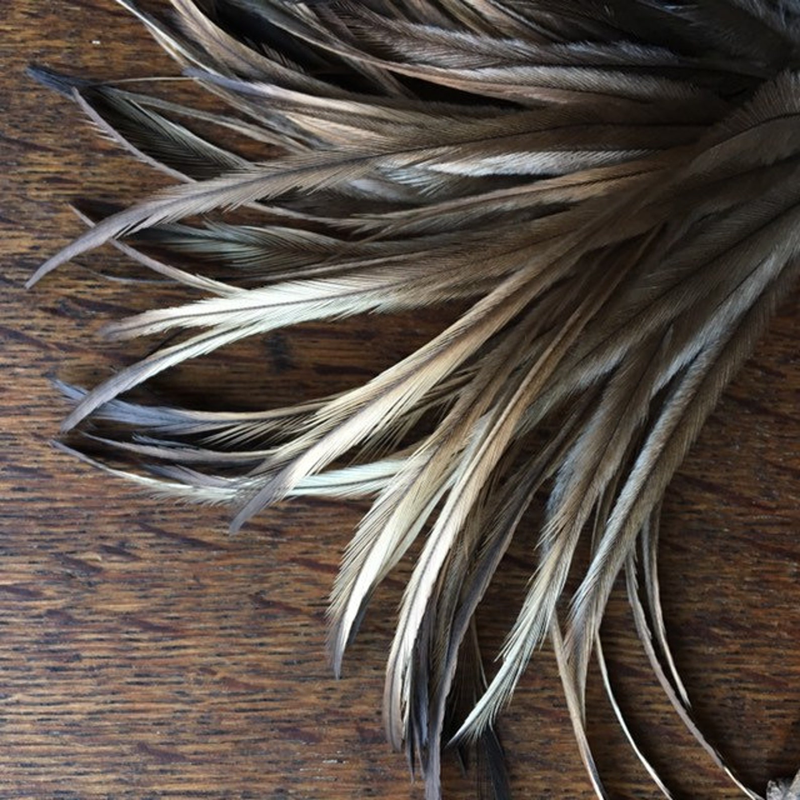 50 Emu Feathers 67 Inches Real Feathers Extensions Natural Etsy