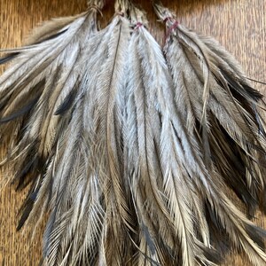 May include: A collection of long, slender feathers featuring a mix of grey, brown, and black tones. Each feather is bundled at the top with a thin, dark red thread, creating a fan-like arrangement of natural plumage with fine, delicate barbs.