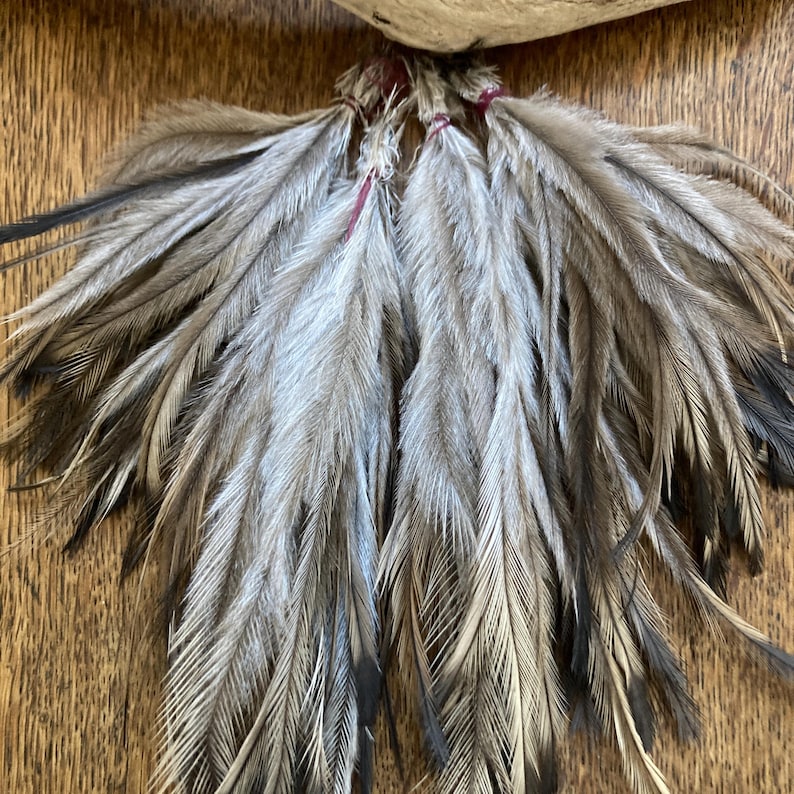 May include: A collection of long, slender feathers in shades of grey, brown, and white. The feathers are bundled together at the top with thin, dark red thread, creating a fan-like arrangement with soft, wispy barbs extending outward from the centre.