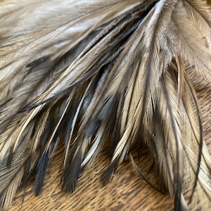 Natural Emu Feathers (100pcs): Undyed Craft Supplies, Hair Extensions, Fly Tying Materials image 10