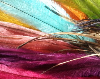 200 emu feathers, feather hair extensions, feather earrings