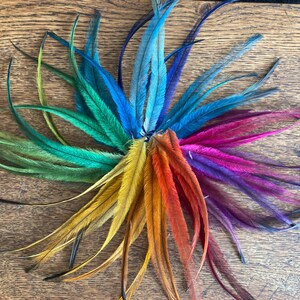 Emu Feathers Multi Coloured x200pcs,DIY Feather Earrings DIY Millinery DIY Feather Hair Extensions, Craft Supply Feathers Fly Tying Supplies