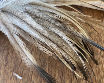 Emu Feathers – Small Bag OUT OF STOCK - Natural Feathers... In Stock From Our Own Flock - Foto 3