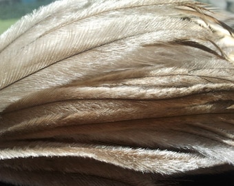50 Emu Feathers 6-7 Inches, Real Feathers Extensions, Natural Feathers, Weaving, Craft, Millinery Supplies, Hat Making, Feather Earrings