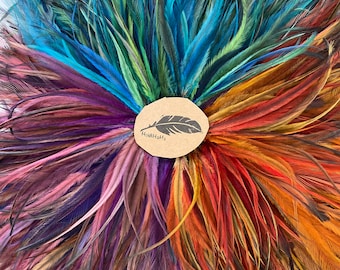 Multi Coloured Emu Feathers: Craft & Hair Extension Supplies (300pcs)