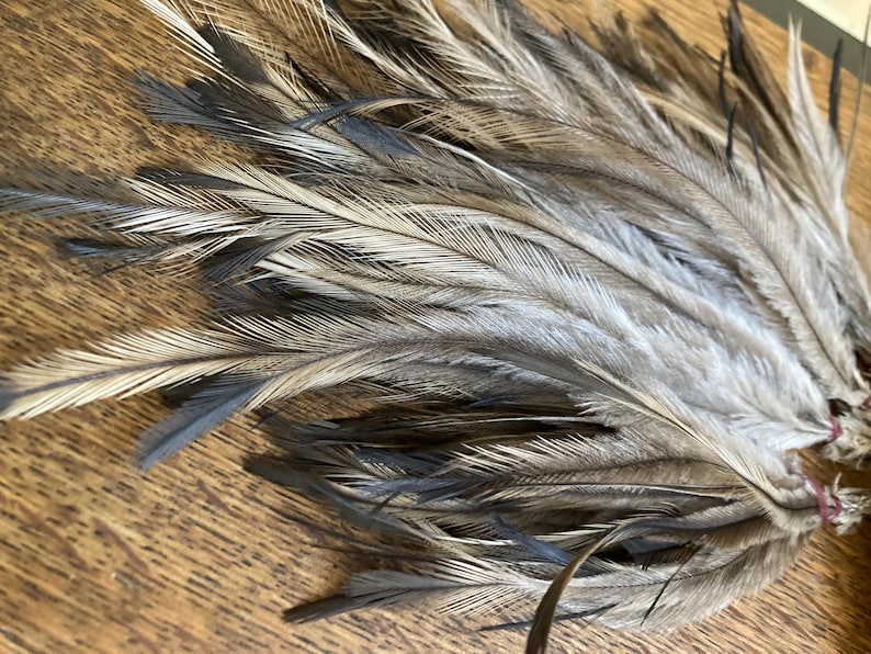 May include: A collection of long, slender feathers featuring a natural colour palette of light grey, tan, and dark brown. The feathers are bundled together at the base with small, thin red elastic bands, displaying fine, wispy barbs and pointed tips.