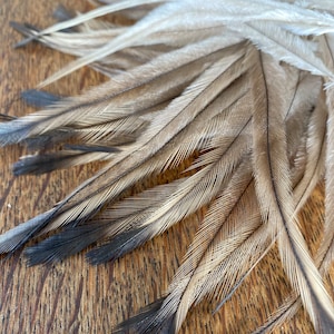 Emu Feathers, Hair Feathers Jewelry Making Millinery Supplies Craft Feathers DIY Feather Earrings Fly Tying Jewellery Findings Hat Feathers