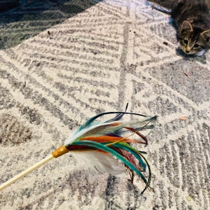 Cat Teaser Toy, Feather Wand for Cats, Feather Cat Toy, Interactive Cat Play, Fun Cat Accessories, Pet Supplies, Best Cat Toys, Teaser Wand image 6