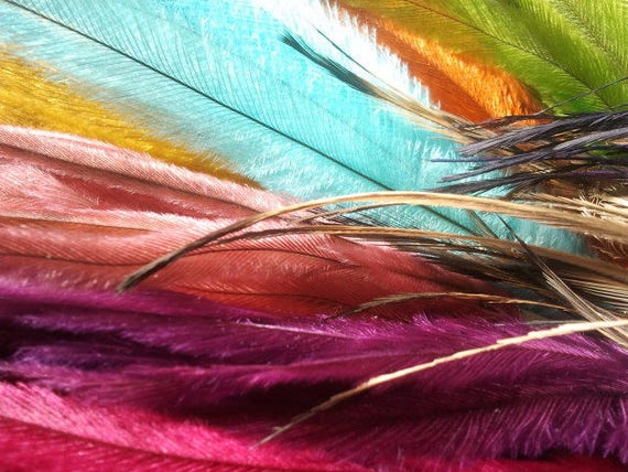 Emu feather hair clearance extensions