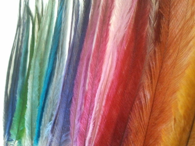Emu feather hair clearance extensions