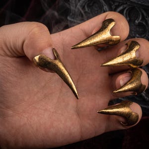 Könnte beinhalten: Ein Set aus fünf goldfarbenen Krallenringen aus Metall, die jeweils eine texturierte, verwitterte Oberfläche aufweisen. Diese spitzen, klauenförmigen Ringe sind so gestaltet, dass sie über die Fingerspitzen passen und den Nagelbereich bedecken.