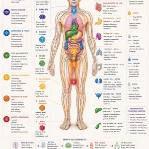 May include: An educational poster titled The Master Energy Map, featuring a central human figure with seven coloured chakra symbols aligned along the spine, surrounded by detailed text charts on Roby beliefs, Qigong meridians, and TCM organ systems.
