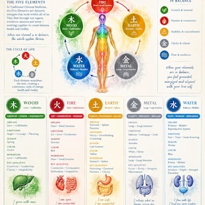 Könnte beinhalten: Eine TCM Fünf-Elemente-Körperkarte mit einer zentralen menschlichen Figur und leuchtenden Energiezentren. Die Infografik zeigt Holz, Feuer, Erde, Metall und Wasser mit den entsprechenden Organen, Emotionen, Jahreszeiten und Farben in einem Raster.