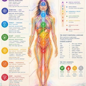 May include: An educational poster titled The Emotional Body Map featuring a central illustration of a human figure with seven coloured chakra symbols aligned vertically. The chart includes text detailing beliefs, emotions, and body associations.