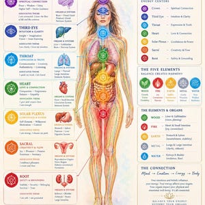 Op de afbeelding: Een gedetailleerde educatieve kaart getiteld The Chakra + Organ Connection Map, met een centrale menselijke figuur met zeven gekleurde chakrasymbolen langs de ruggengraat, verbonden met diverse interne organen, teksten en element-iconen.