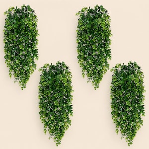 Puede incluir: Cuatro plantas colgantes artificiales con denso follaje verde. Las plantas están dispuestas sobre un fondo neutro, creando una exhibición visualmente atractiva. Las hojas son pequeñas y redondeadas, dando una apariencia completa y exuberante. Ideal para cualquier espacio.