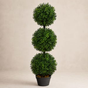 May include: A topiary plant with three spherical green foliage sections. The plant is in a black pot. The stems are black. The background is a neutral beige.