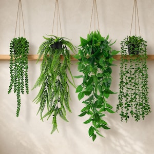 May include: Four artificial hanging plants in black pots suspended by thin twine. The set includes a string of pearls, a feathery fern, a broad-leafed vine, and a trailing succulent with small round leaves, all featuring vibrant green foliage.